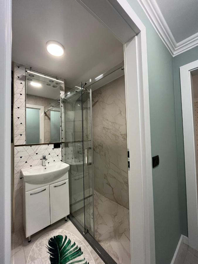 Ely Apartaments Borşa Екстериор снимка